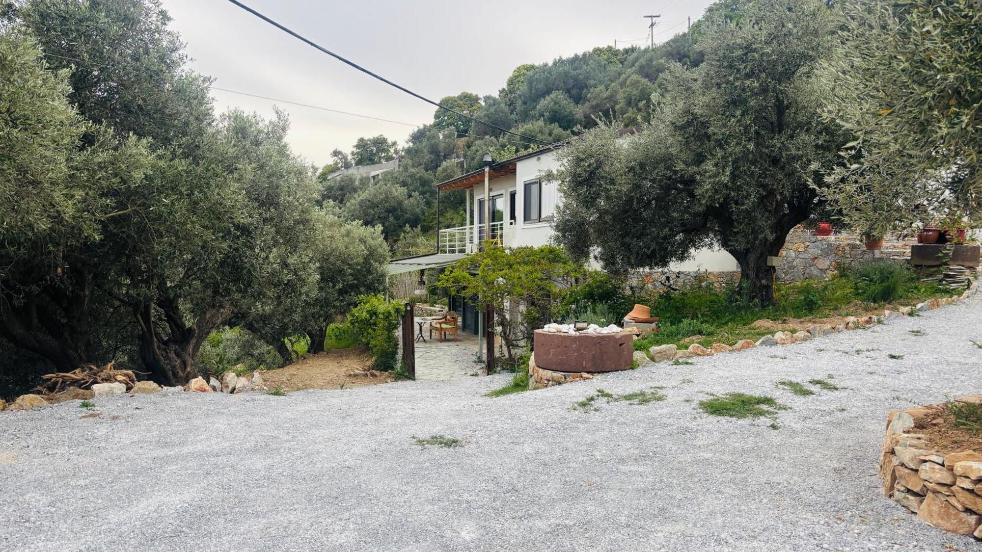 Villa Tierra Skiathos Exterior foto